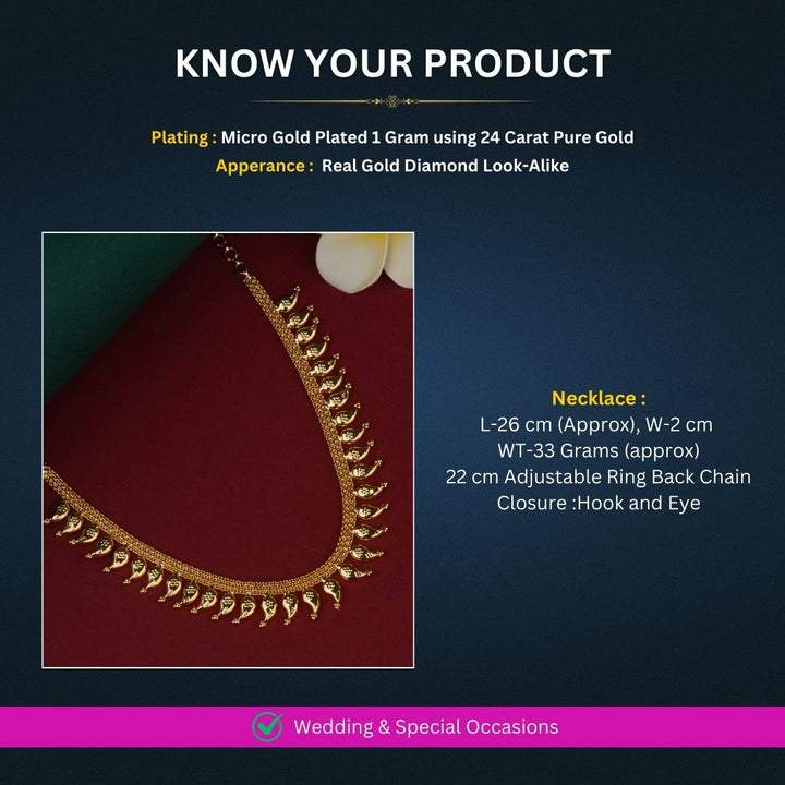 Micro Gold Plated Necklace Set Measurement Image - Sasitrends