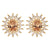 AD Earrings
