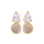 AD Stone Earrings